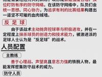 半岛体育网页版-精妙的战术布局让球队在比赛中获胜